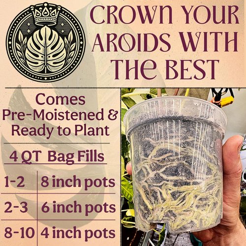 Craft Aroid Potting Mix - Elite Organic Soil for Alocasia, Philodendron & Monstera | Well-Draining, Peat-Free 4QT
