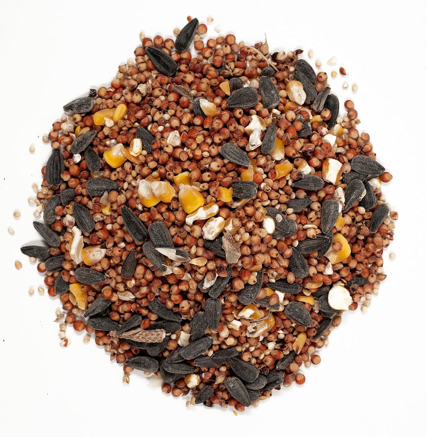 Wagner's 53002 Wild Bird Food - Cherry Flavor, 10-Pound Bag for Happy Birds