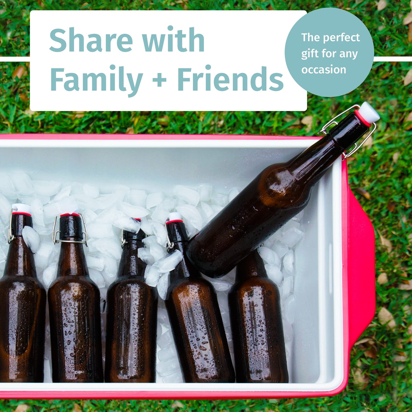 Otis Classic Swing Lid Glass Bottles with Lids Flip Stoppers for Second Fermentation Kombucha Water Kefir Brewing Beer Set of 6 16 oz Amber