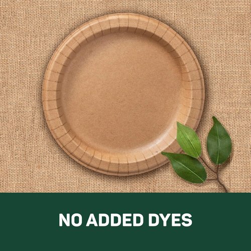Dixie EcoSmart 100% Recycled Fiber Paper Plates - Large 10-Inch, 144 Count for All Meals