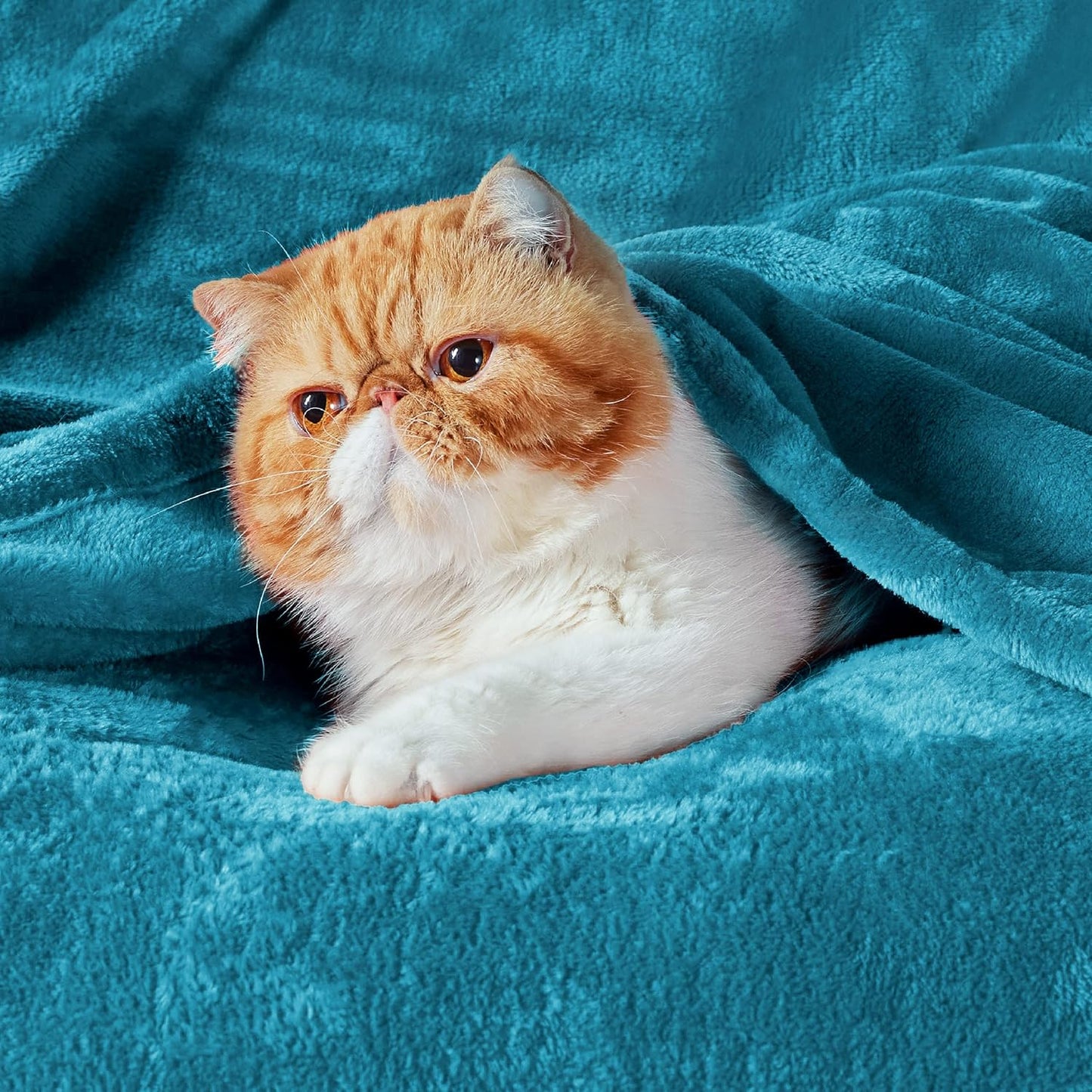 Bedsure GentleSoft Fleece Blanket - King Size Teal | Soft, Lightweight, Plush Microfiber 108x90 Inches