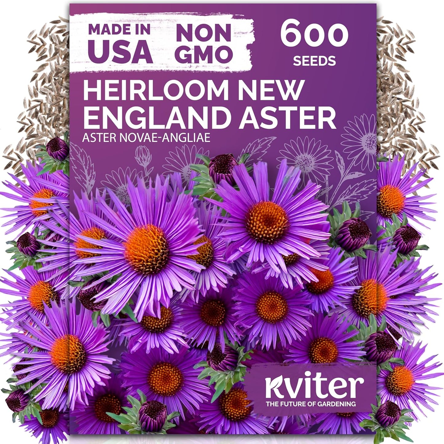 KVITER 600 New England Aster Seeds - Purple Aster Wildflower Seed Packets for Perennial Gardens