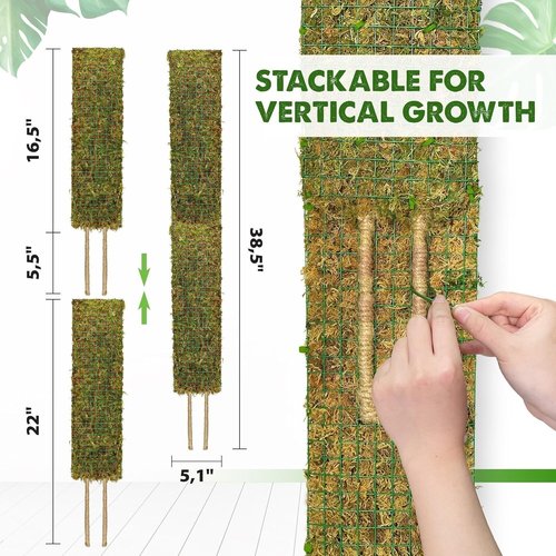 DUSPRO Moss Poles for Climbing Plants - Stackable 22” Handmade Real Moss Sticks | 2 Pack for Indoor Growth