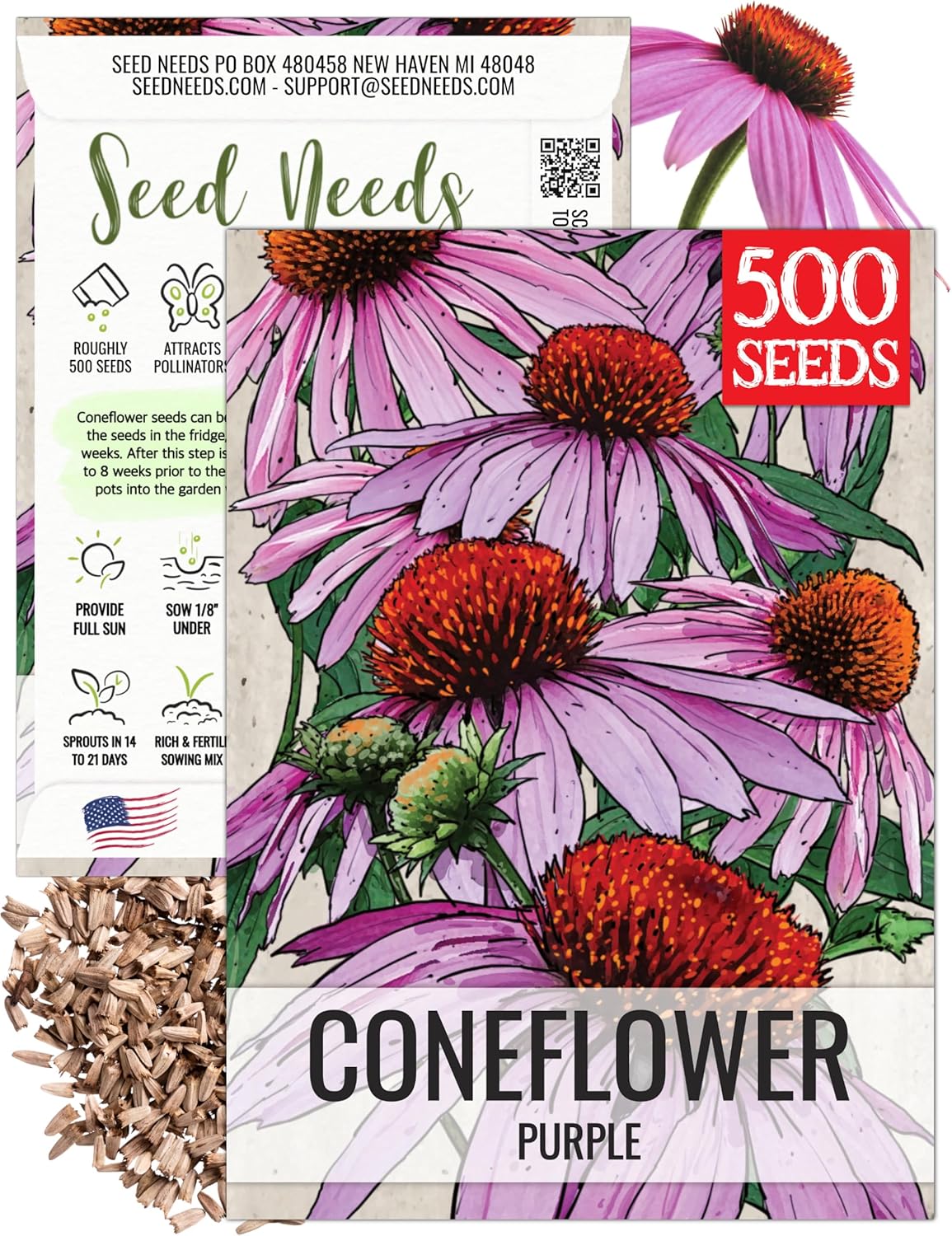 Seed Needs Coneflower Seeds - Purple Echinacea Heirloom Perennial Medicinal Flower - Ideal for Butterfly Gardens (1 Pack)