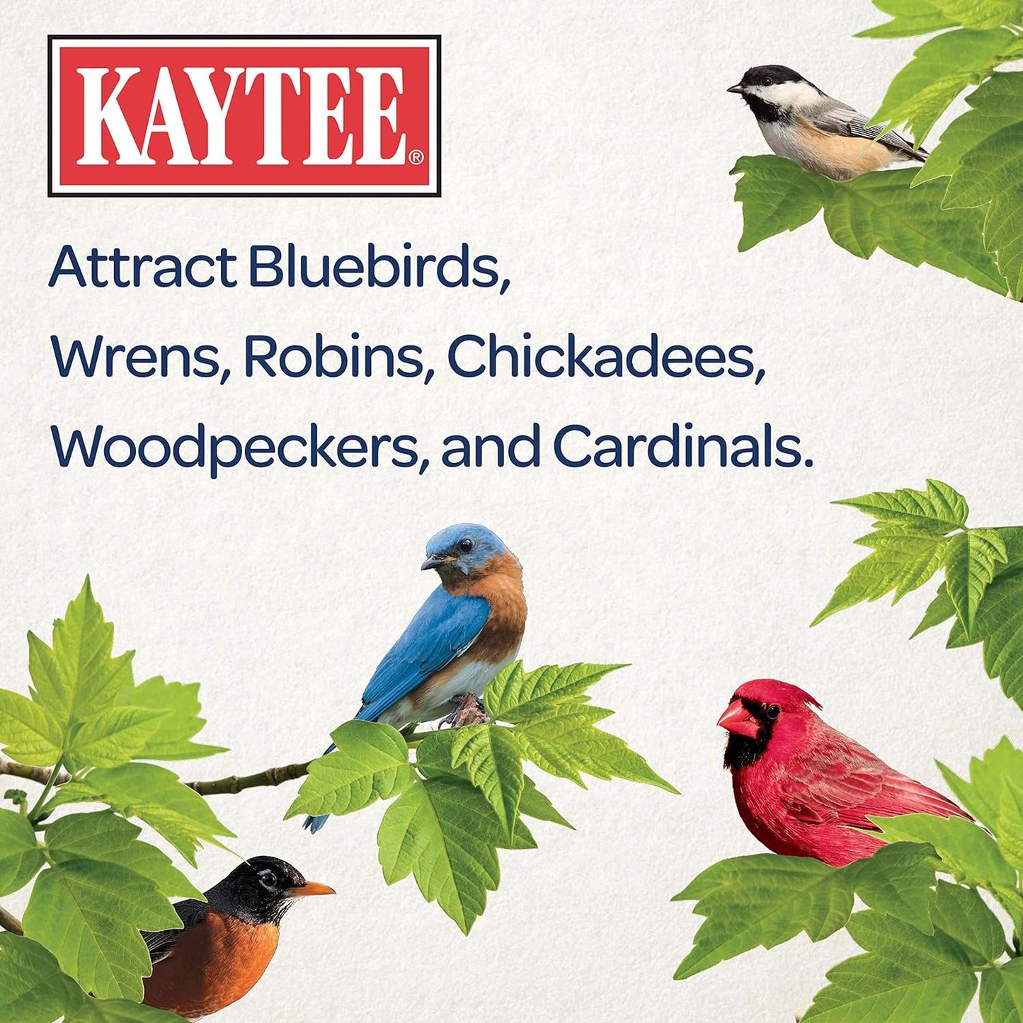 Kaytee Wild Bird Food - Mealworms for Bluebirds, Wrens, Robins & More | 3.5 Ounce Pack