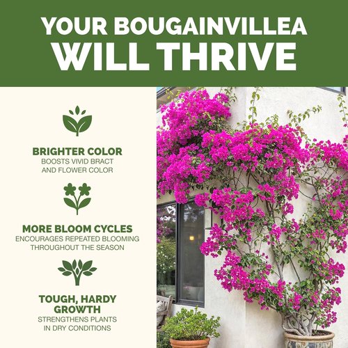 Bougainvillea Fertilizer - Liquid Plant Food for Vibrant Blooms & Lush Growth | 8 oz