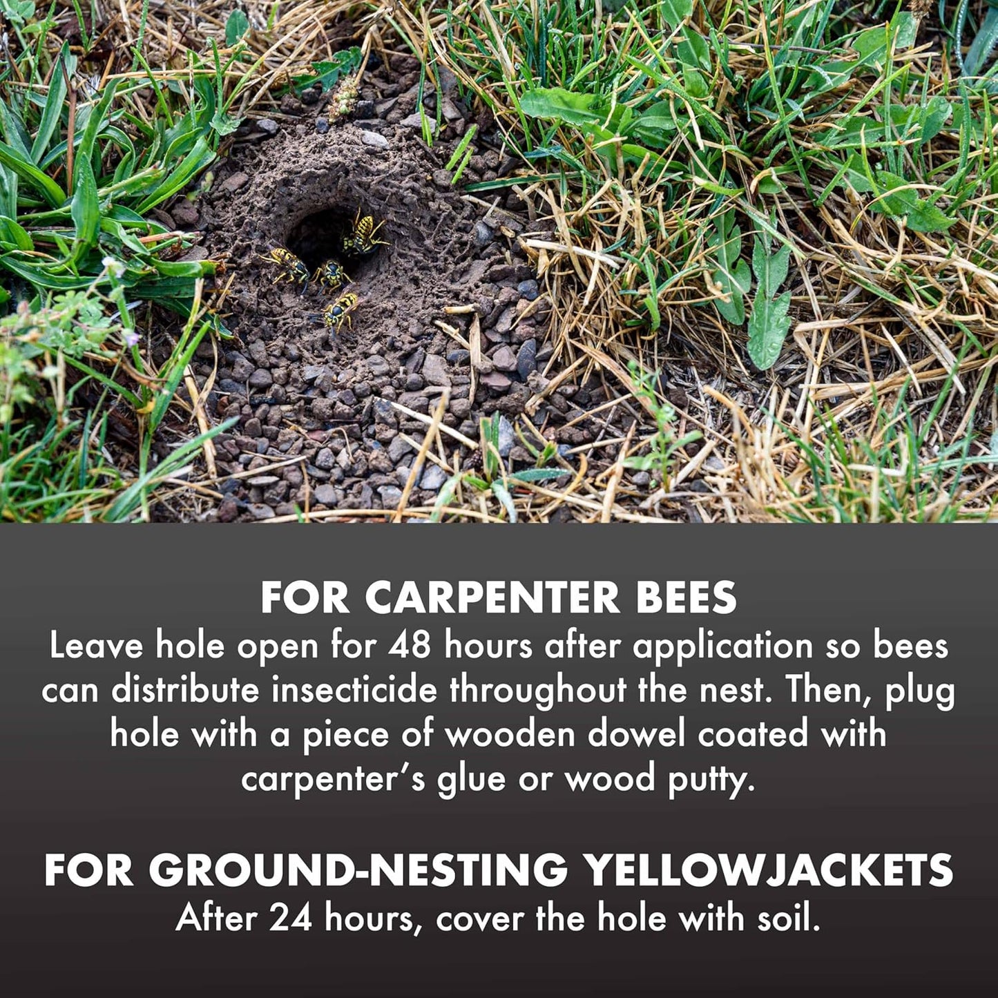 Spectracide Carpenter Bee & Yellowjacket Killer - Foaming Aerosol, 16 Ounces | Targets Insect Nests