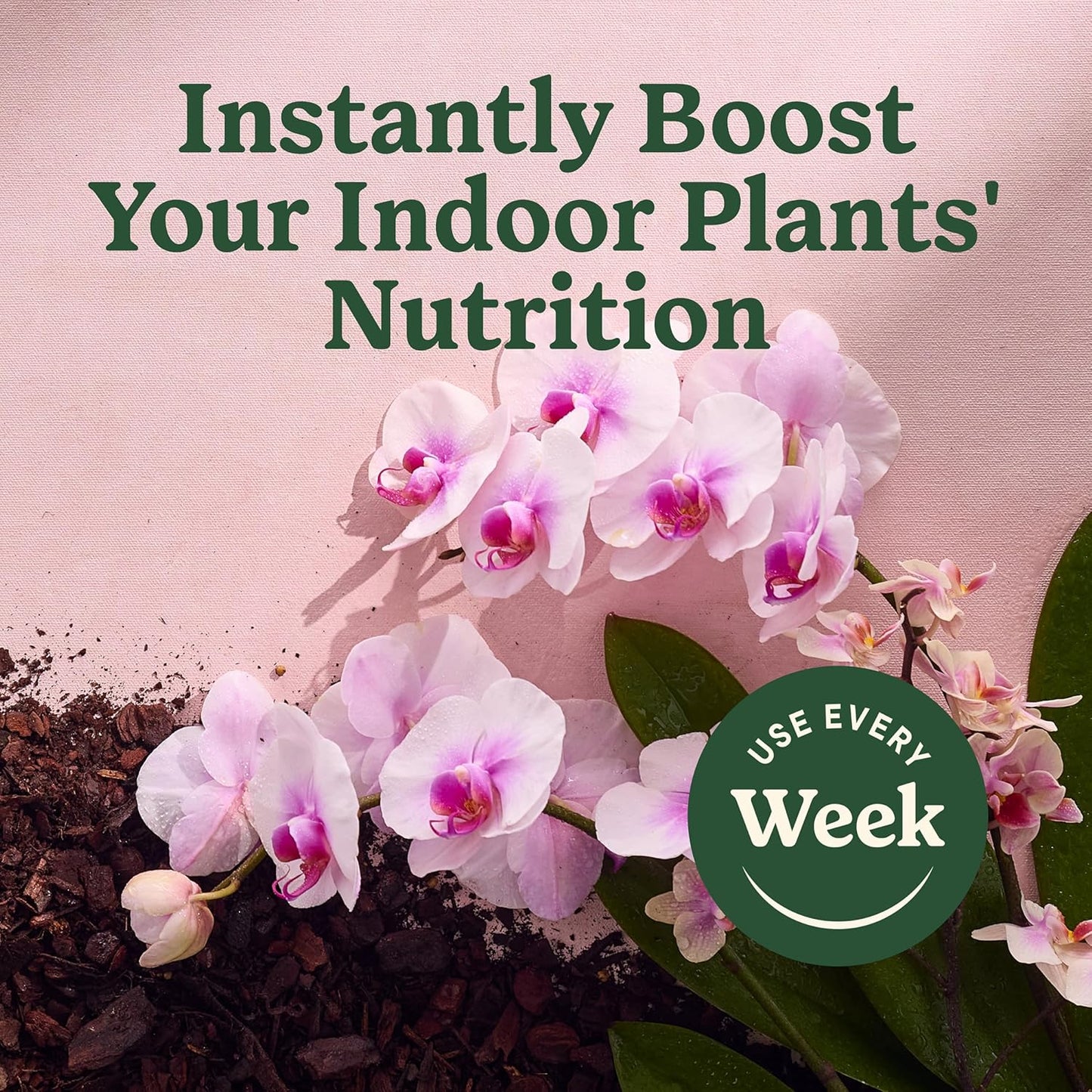 Miracle-Gro Indoor Plant Food Mist - Orchid Plant Nourishment | 8 Fl. Oz., 2-Pack