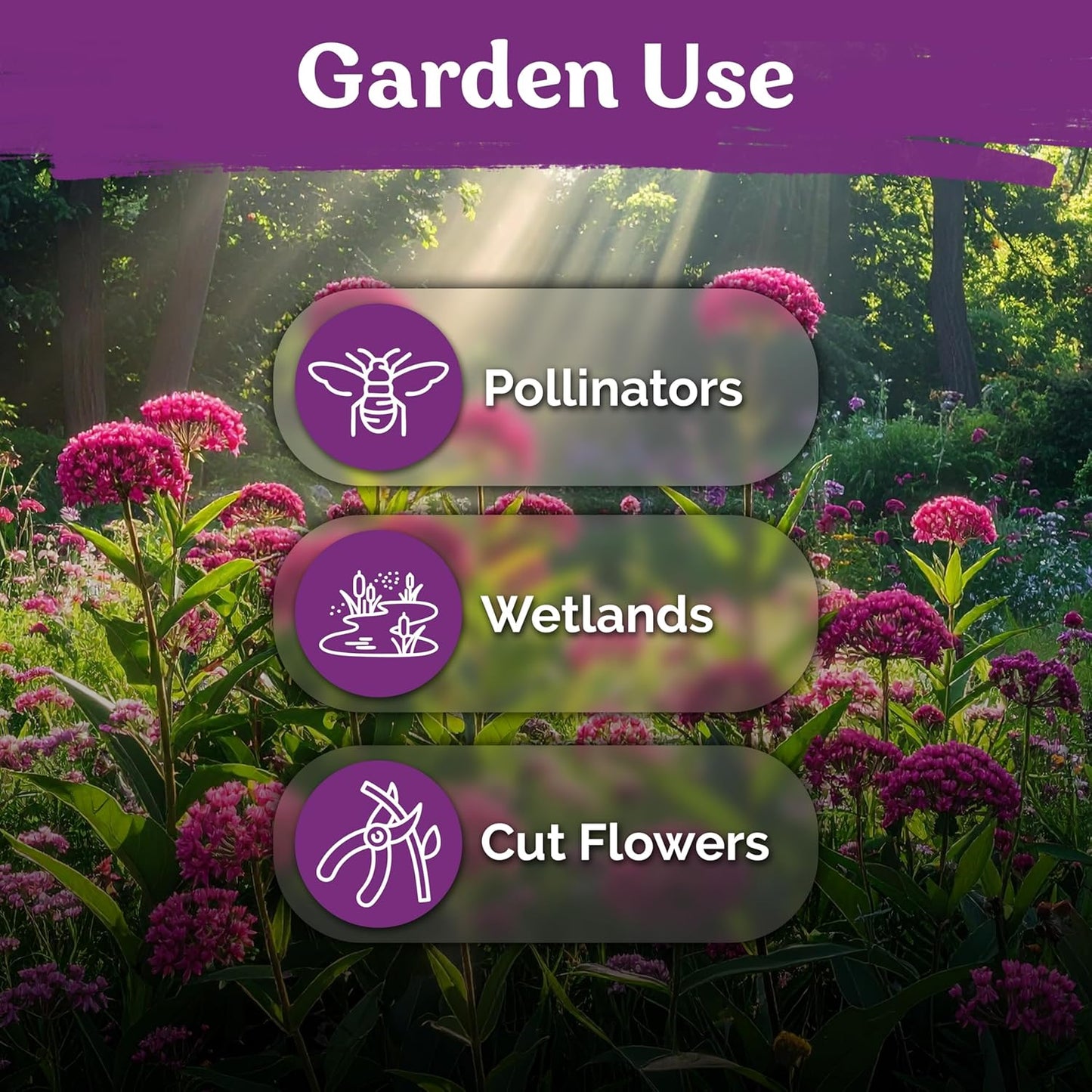 KVITER 150 Swamp Milkweed Seeds - Heirloom Pink Blooms for Butterfly & Honeybee Pollinators | Perennial Wildflower