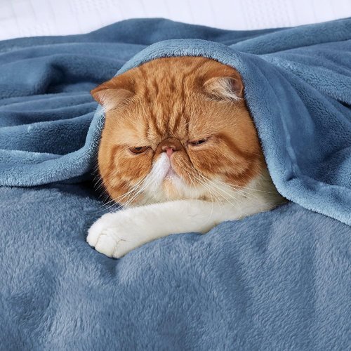 Bedsure GentleSoft Fleece Blanket - King Size Washed Blue, Soft & Cozy Lightweight Microfiber, 108x90 Inches