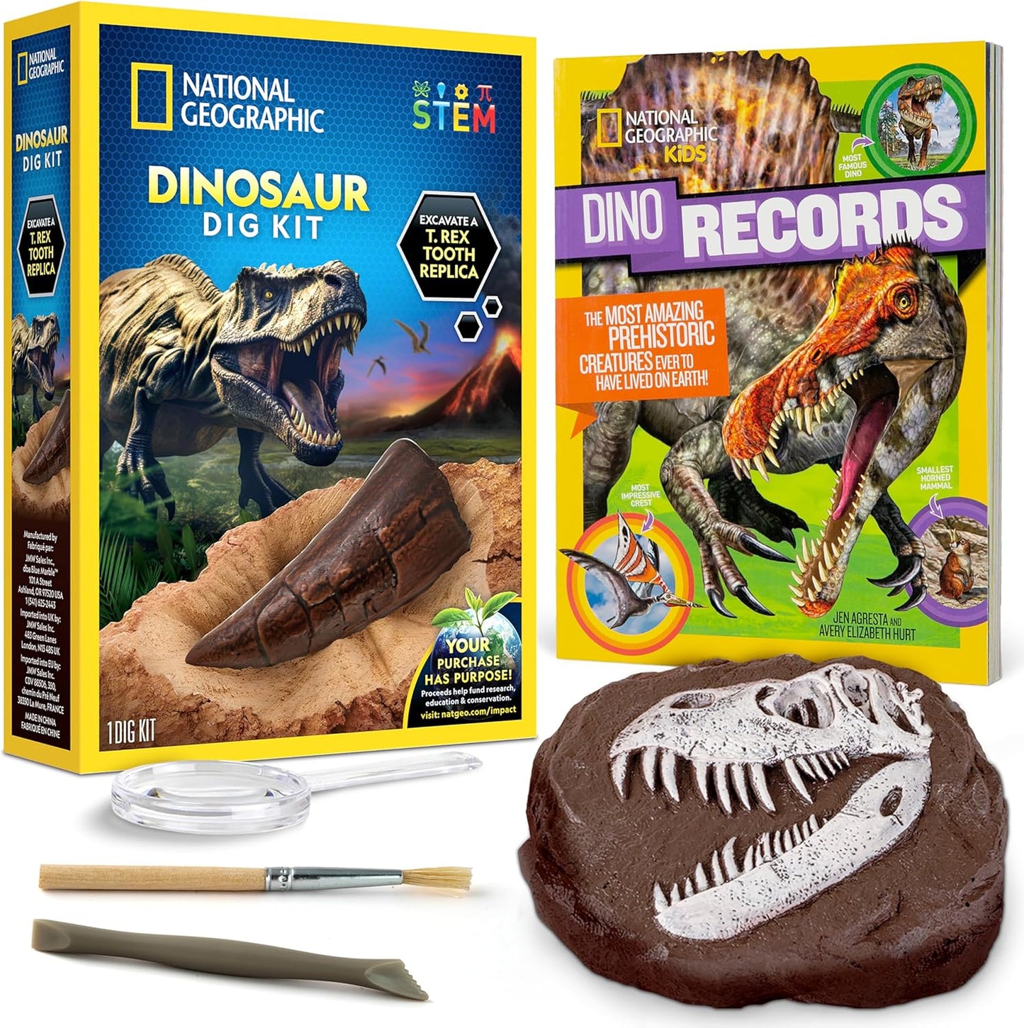 National Geographic Dino Fossil Dig Kit - Excavate Dinosaur Tooth Fossil & Explore Paleontology with Activity Book for Kids