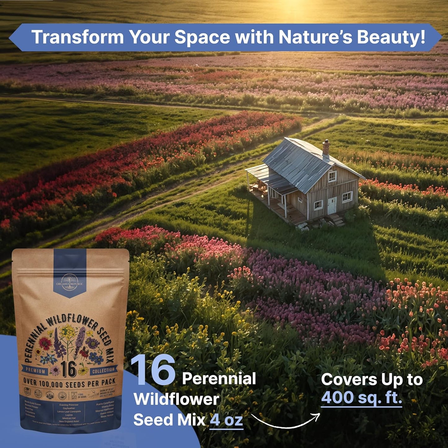 Organo Republic Wildflower Seeds Mix - 100,000+ Non-GMO Heirloom Seeds for Indoor & Outdoor Gardens | 4oz Packet