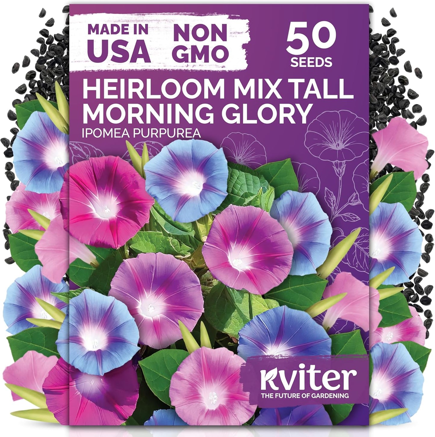 KVITER Morning Glory Seeds Mix - 50 Tall Climbing Flower Seeds for Home Garden & Outdoor Containers