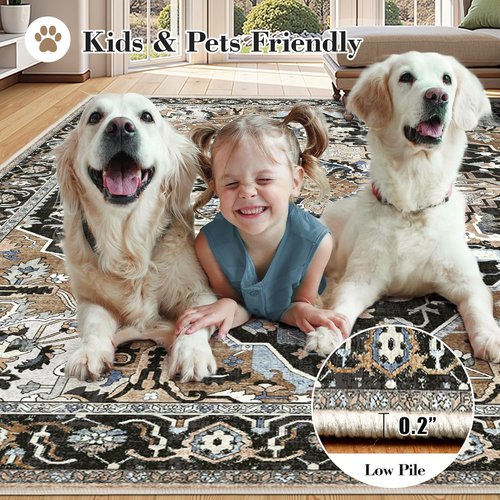 Black Washable Entry Rug by [Brand Name] - Non-Slip Rubber Backing | Stain & Fade Resistant, 2x3 Size
