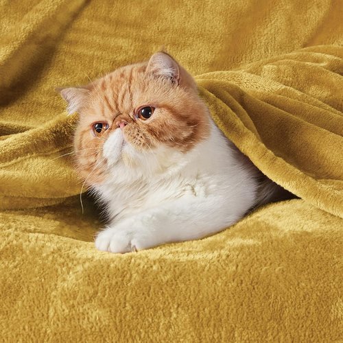 Bedsure GentleSoft Fleece Blanket - Lightweight Plush Cozy Twin Size Yellow 60x80 Inches for Bed & Travel