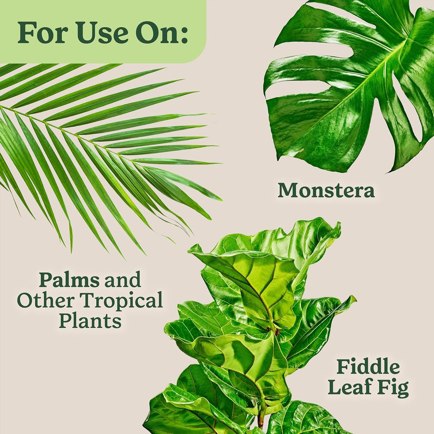 Miracle-Gro Indoor Plant Food - Liquid Fertilizer for Tropical Houseplants | 8 fl. oz., 2-Pack