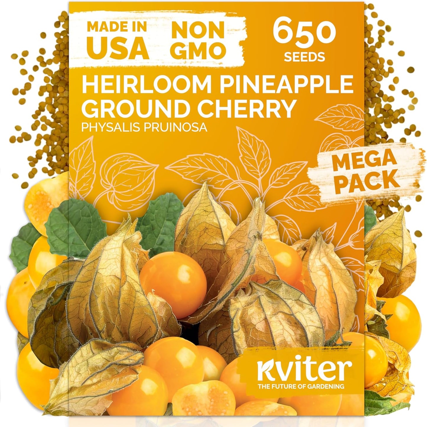 KVITER 650 Aunt Molly Ground Cherry Seeds - Non-GMO Heirloom Organic Fruit Seeds for Planting | Tropical Flavor Berries