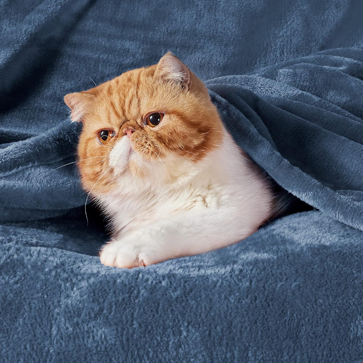 Bedsure GentleSoft Fleece Blanket - Twin Size 300GSM Plush Cozy Warm Blanket in Mineral Blue | 60x80 Inches