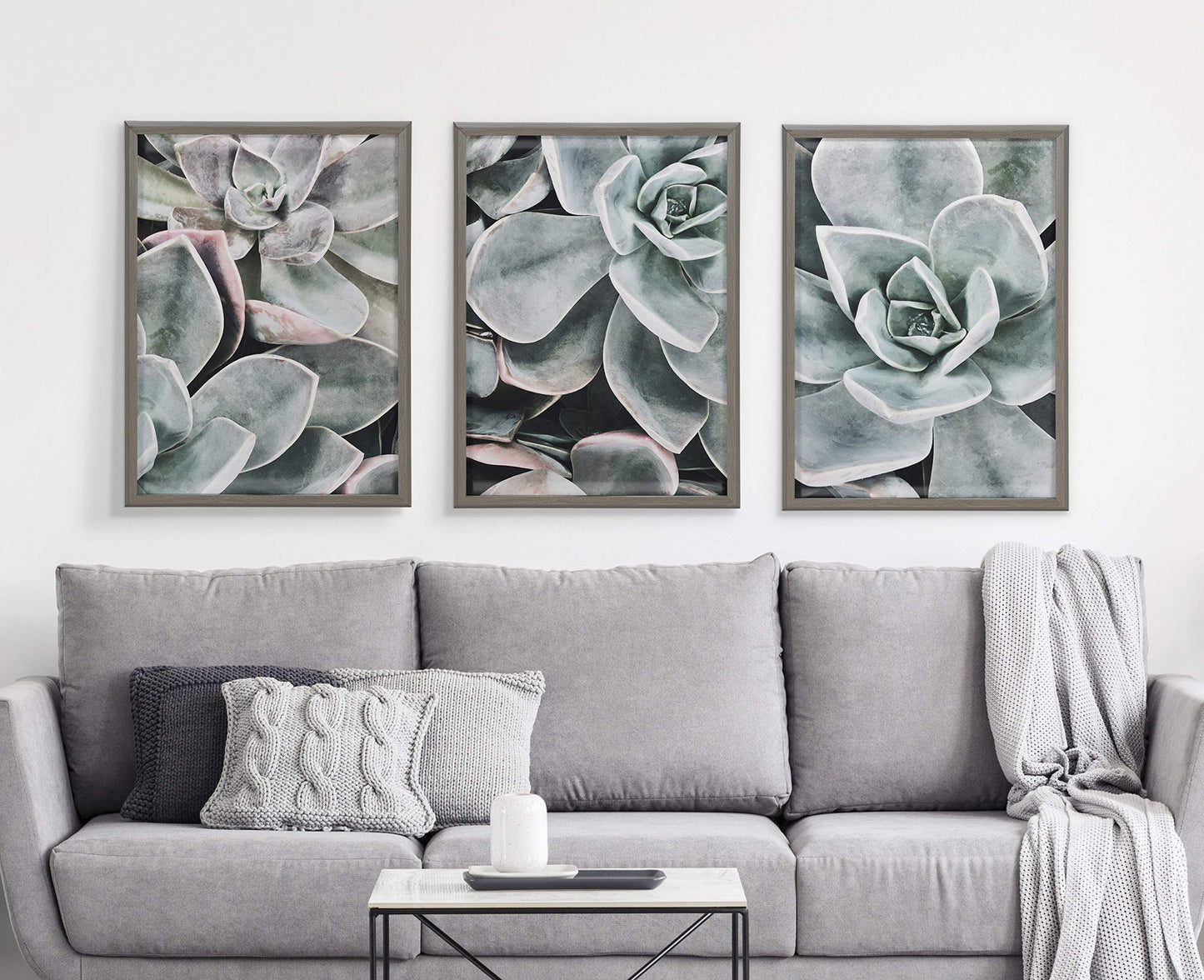 Kate and Laurel Blake Botanical Succulent Plants 2 Framed Printed Glass Wall Art by The Creative Bunch Studio, 18x24 Gray, Succulent Art for Wall