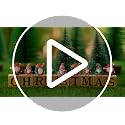 50 Pcs Christmas Mini Gnomes Xmas - Var 50/Xmas, PVC Santa Folk Figurines 3x2 cm