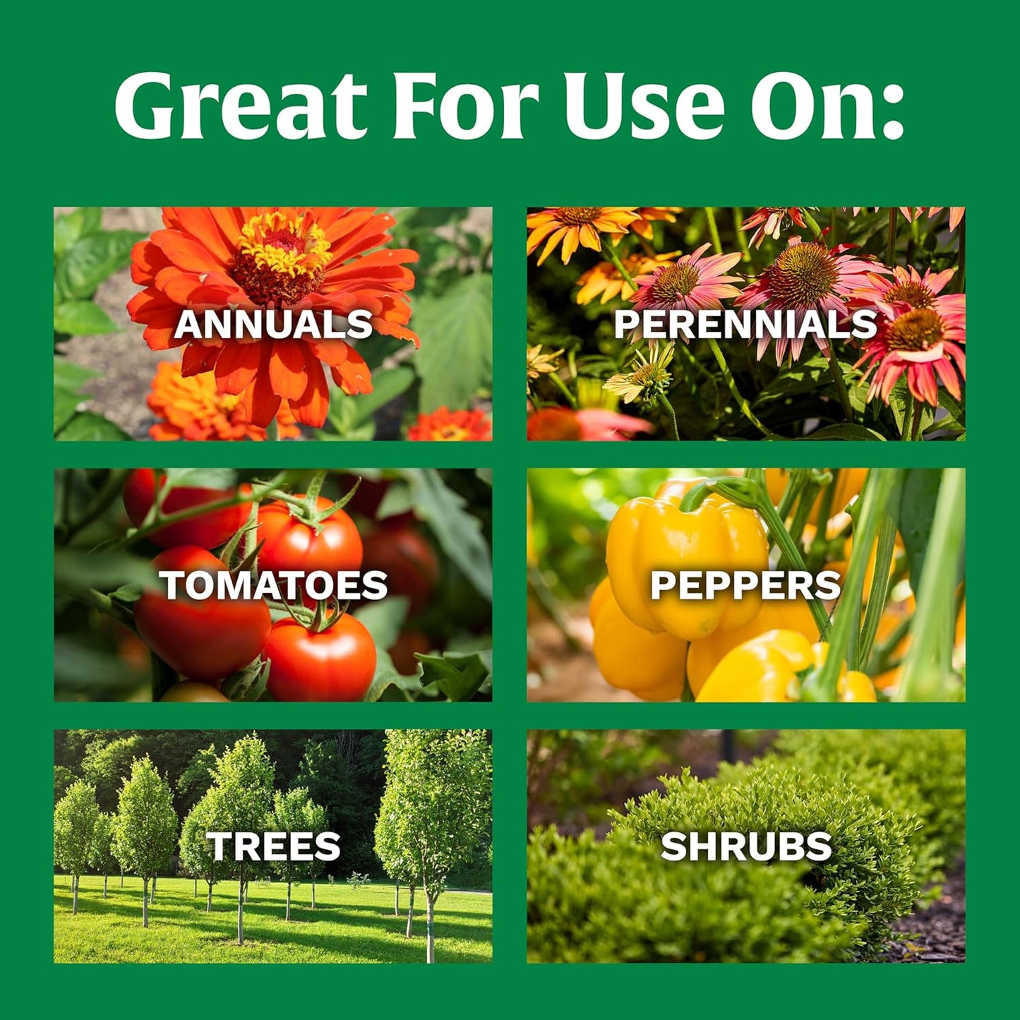 Scotts All-Purpose Plant Food - Continuous Release Formula for Outdoor Flowers & Vegetables | 3 lb