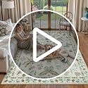 Lahome Green Bug Rug 8x10 Insect Design Washable Living Room Carpet