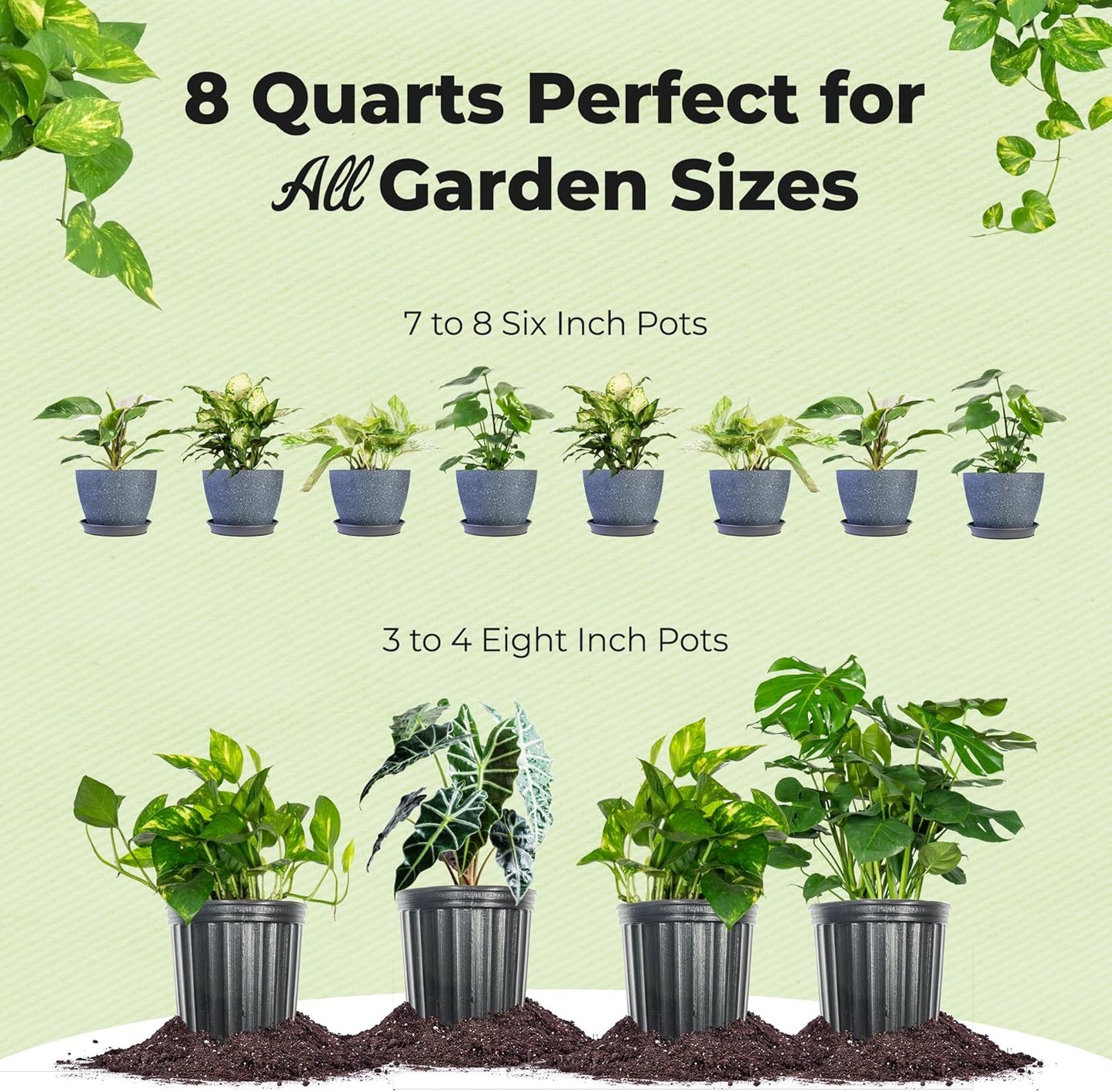 Perfect Plants Organic Aroid Potting Mix - Chunky Gardening Medium for Tropical House Plants | Peat Free, 8qt
