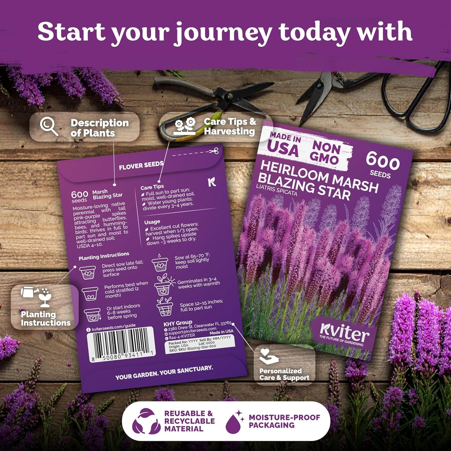 KVITER 600 Marsh Blazing Star Seeds - Heirloom Liatris Spicata for Vibrant Perennial Gardens