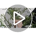 6ft Artificial Olive Tree with Real Wood Trunk - Indoor Faux Plant Decor