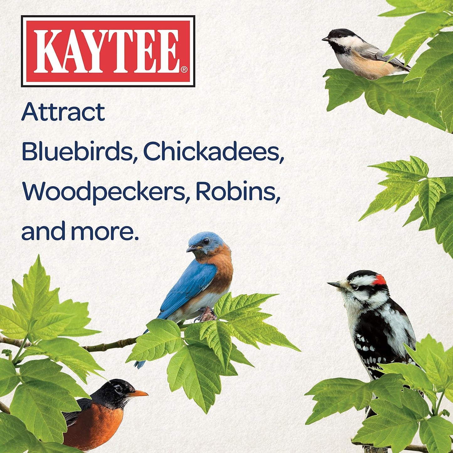 Kaytee Wild Bird Seed - Nutritious Mealworm Seed Cake for Bluebirds & Chickadees | 1.4 Pound