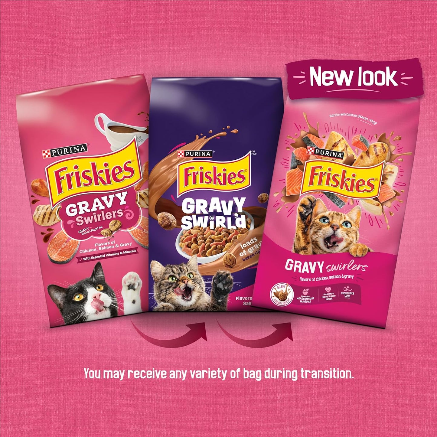 Purina Friskies Gravy Swirlers Dry Cat Food - Chicken & Salmon Flavor - 3.15 lb Bag