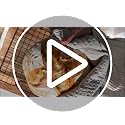 Qalvyn Yellow Sourdough Starter Kit with Proofing Baskets & Accessories — Beginner Baking Set