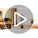 Artificial Olive Tree 4FT - 2 Pack Faux Indoor Trees for Home Decor - Variation of 2 / 4ft
