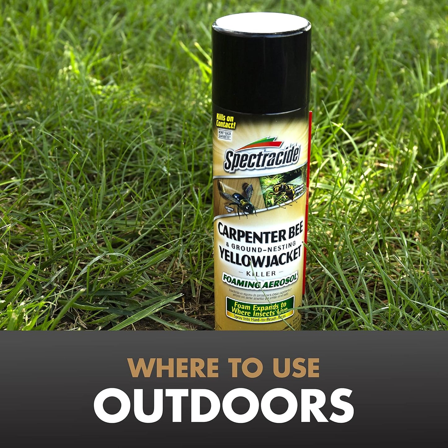 Spectracide Carpenter Bee & Yellowjacket Killer - Foaming Aerosol, 16 Ounces | Targets Insect Nests
