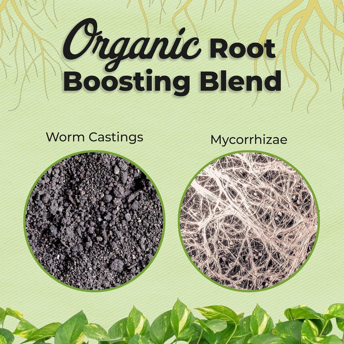 Perfect Plants Organic Aroid Potting Mix - Chunky Gardening Medium for Tropical House Plants | Peat Free, 8qt