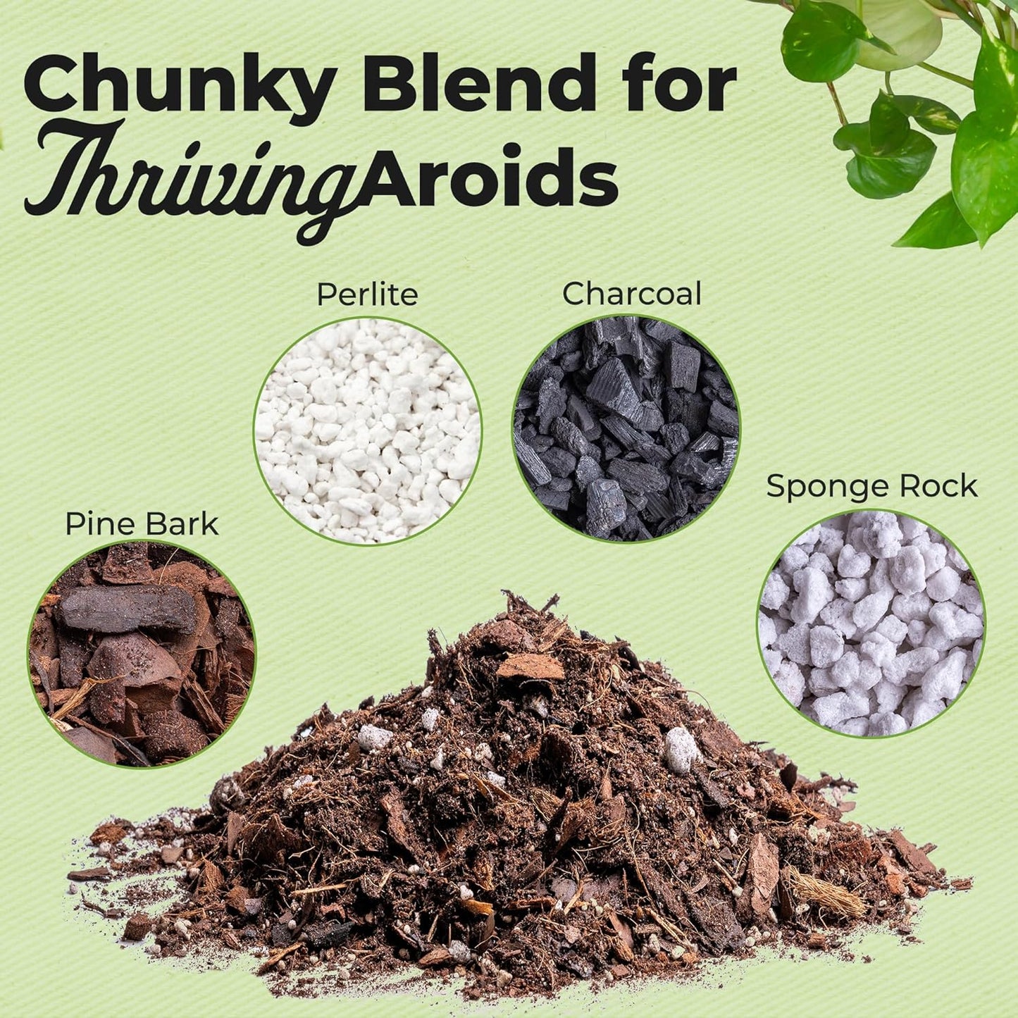 Perfect Plants Organic Aroid Potting Mix - Chunky Gardening Medium for Tropical House Plants | Peat Free, 8qt