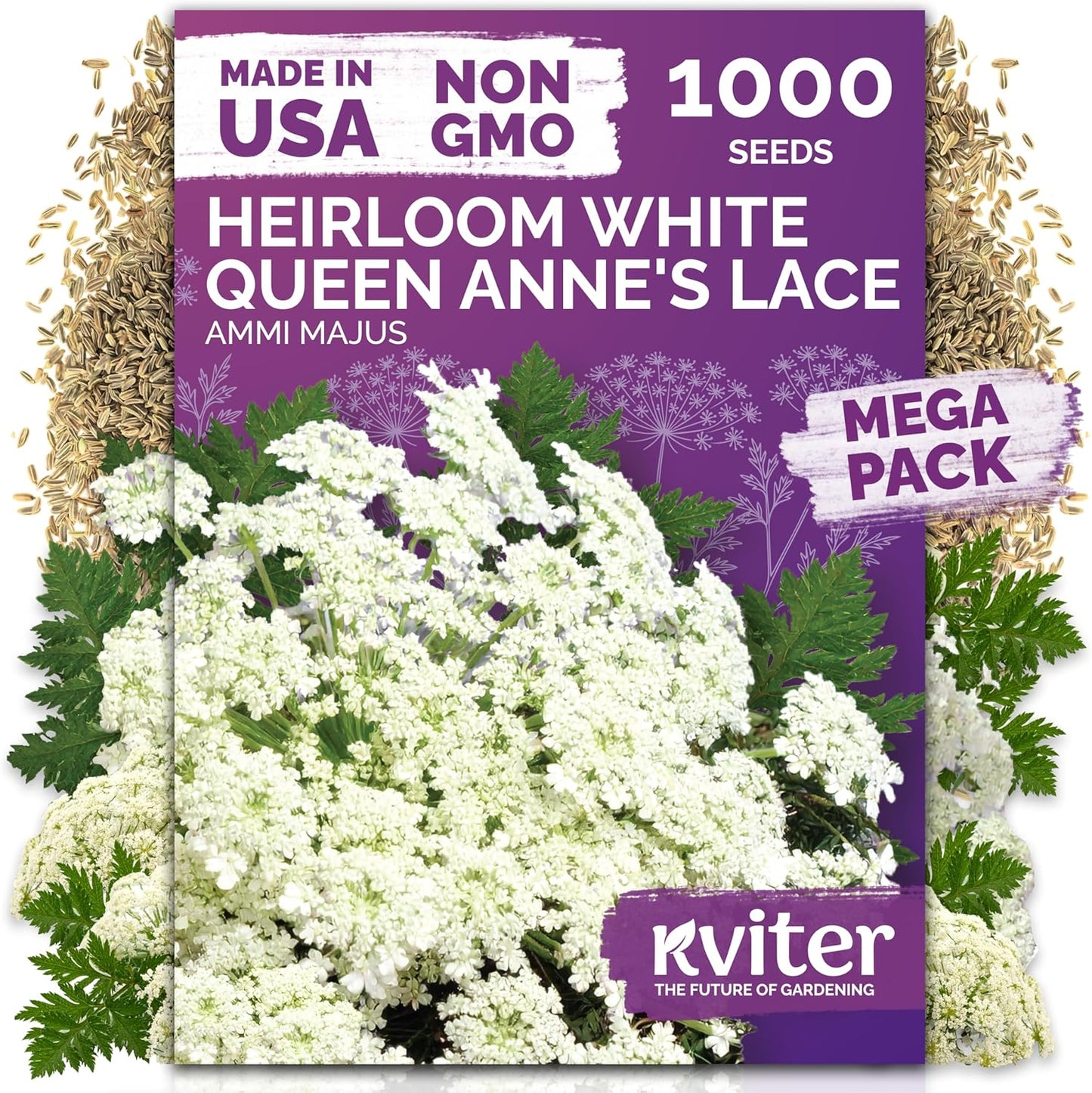 KVITER 1000 Queen Anne's Lace Seeds - Heirloom, Non-GMO, Organic Wildflower for Pollinator Gardens