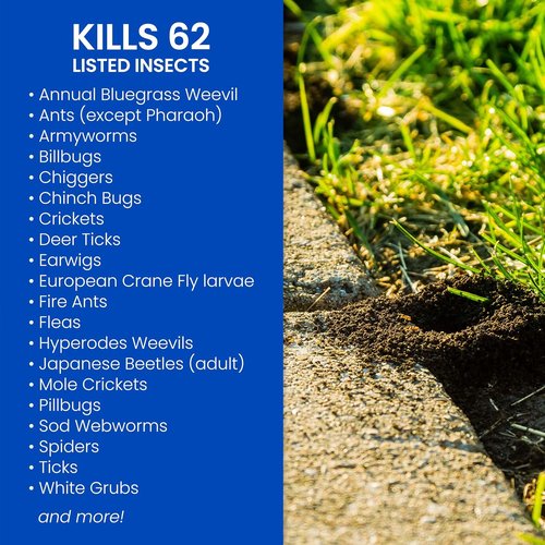 BioAdvanced Insect Killer - Complete Soil & Turf Solution | Ready-to-Spray 32 oz for Outdoor Ant Control