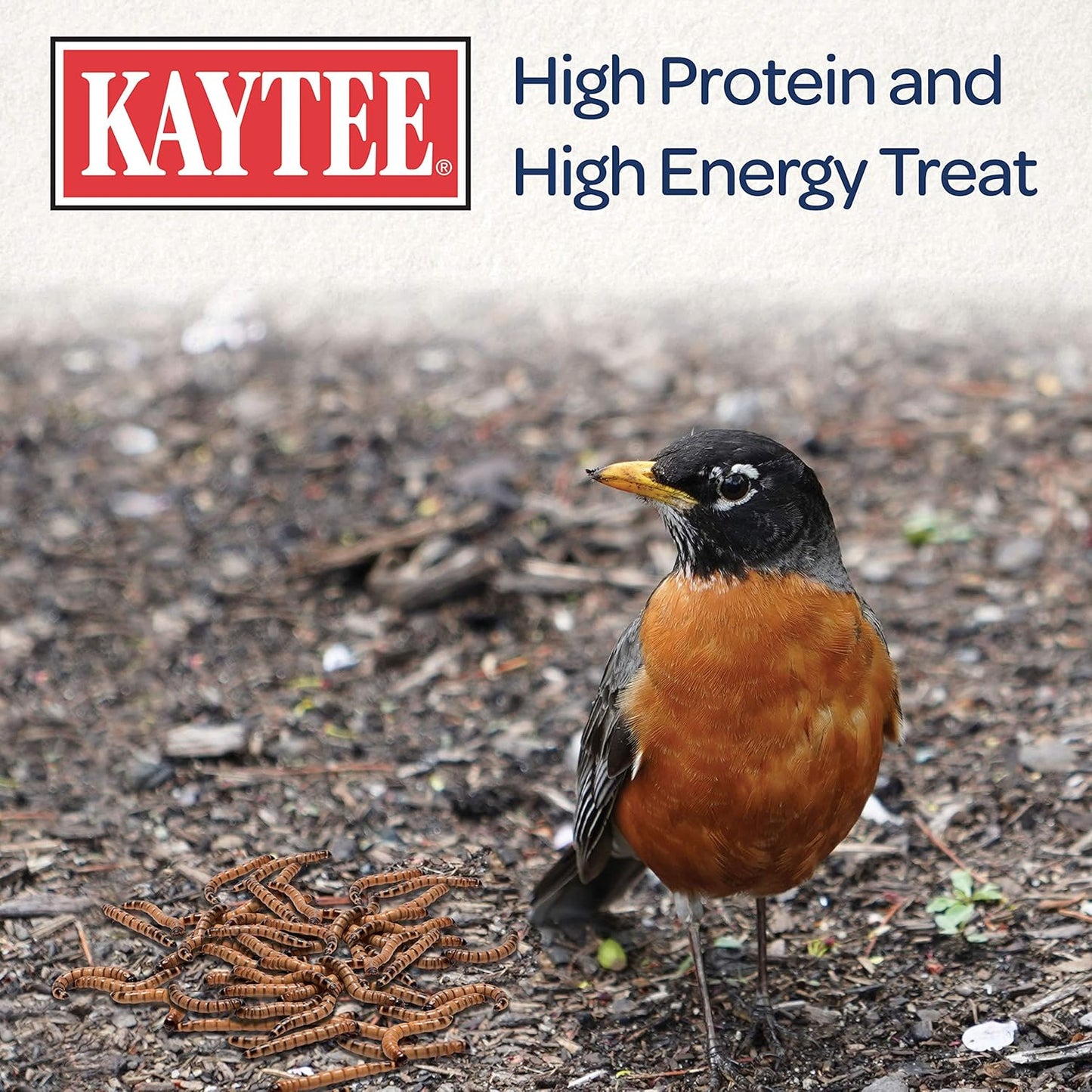 Kaytee Wild Bird Food - Mealworms for Bluebirds, Wrens, Robins & More | 3.5 Ounce Pack