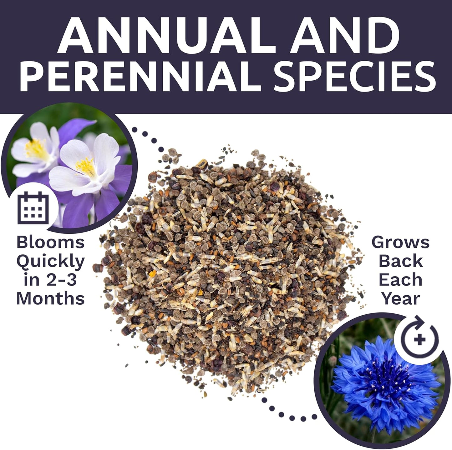 Wildflower Seeds - Partial Shade Mix with 7,000+ Open Pollinated Annual & Perennial Seeds - 1 Ounce