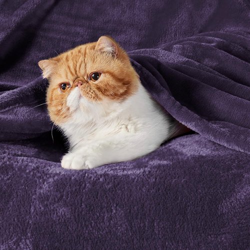 Bedsure GentleSoft Fleece Bed Blanket - Oversized Cozy Luxury Microfiber in Purple, 120x120 Inches