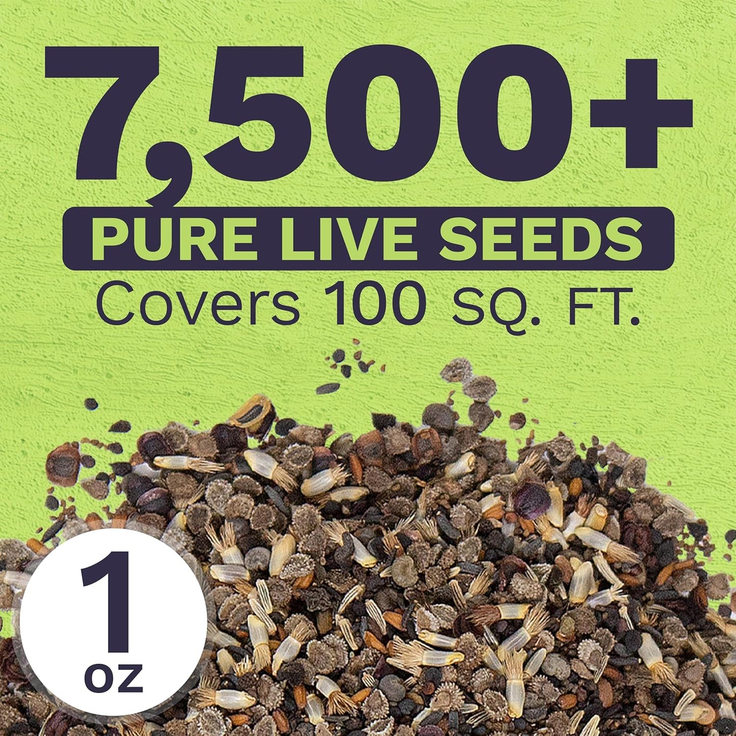 Wildflower Seeds - Partial Shade Mix with 7,000+ Open Pollinated Annual & Perennial Seeds - 1 Ounce