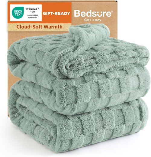 Bedsure GentleSoft Queen Size Blanket - Super Soft Cozy Fleece Throw in Sage Green, 90x90 Inches