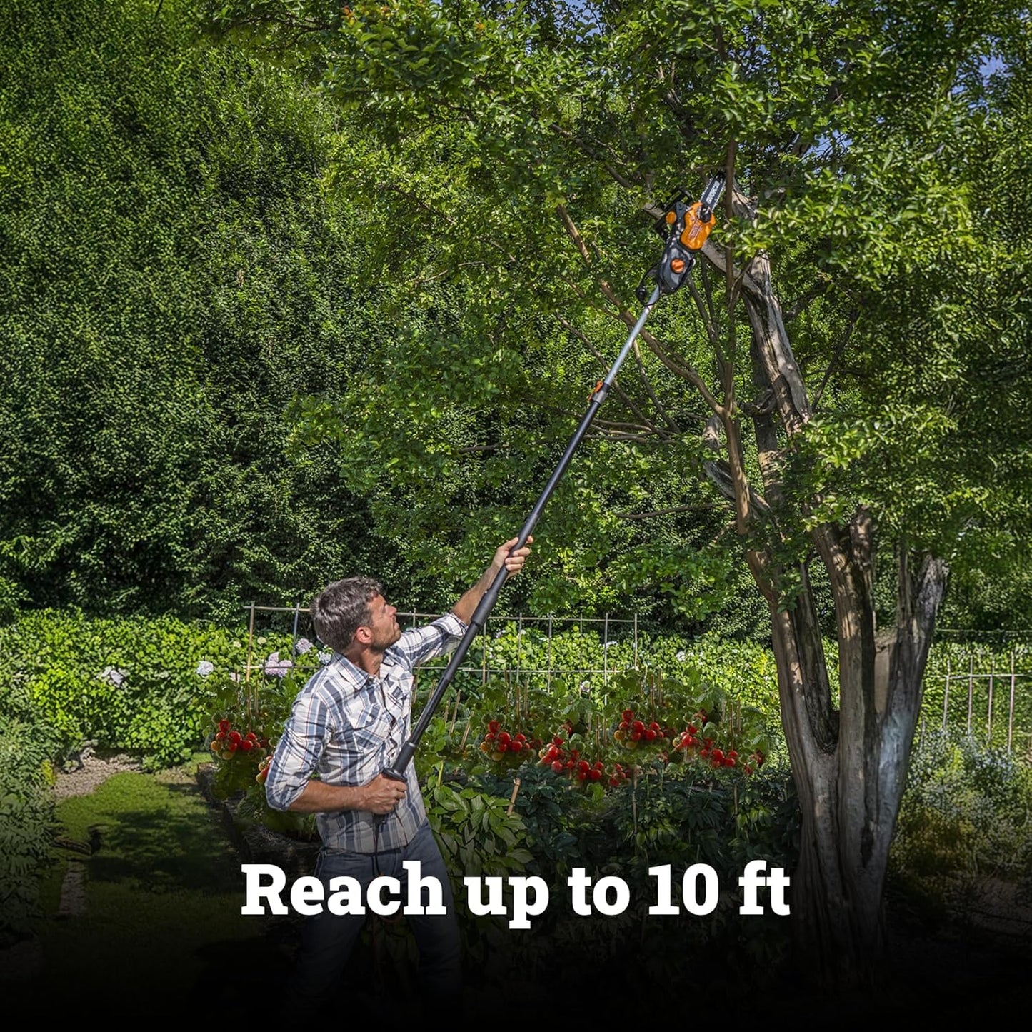 WORX Electric Pole Saw - 8 Amp, 10" Blade, Extends Up to 10 ft. for Effortless Tree Trimming