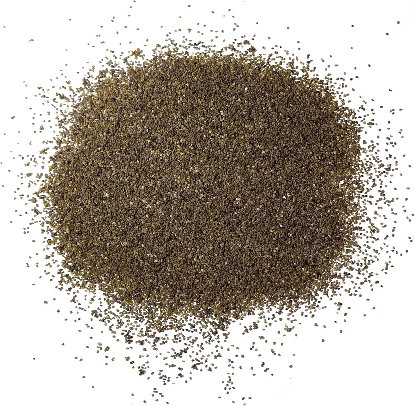 Seed Needs Shirley Mixed Poppy Seeds - 100,000+ Heirloom Papaver Rhoeas | Bulk Double Mixture Blend