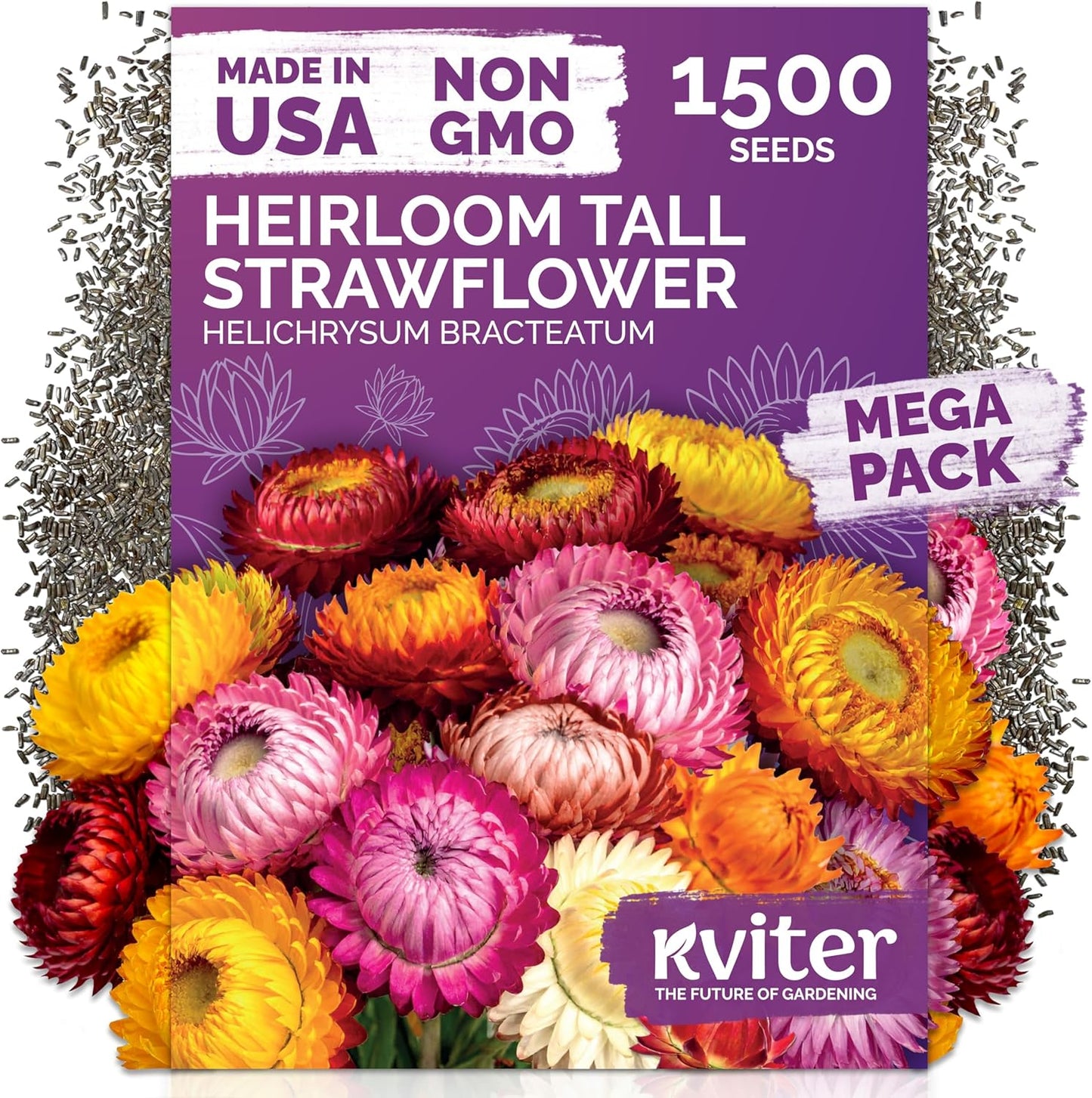 KVITER Tall Mix Strawflower Seeds - 1,500 Organic Heirloom Golden Everlasting Flower Seeds for Planting & Drying
