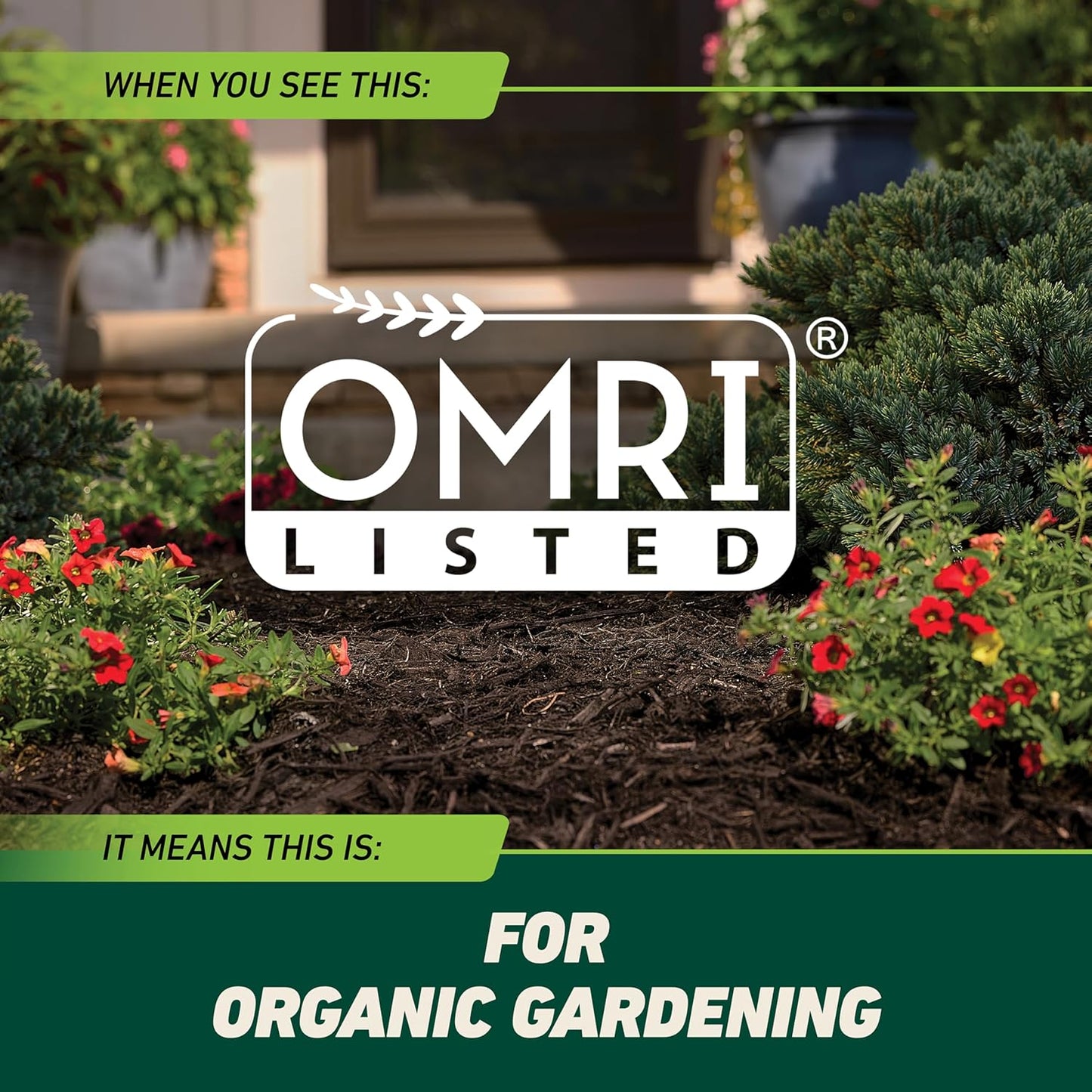 Ortho GroundClear Weed Killer - Comfort Wand for Easy Application | Kills Dandelions, Crabgrass & More - 1 Gallon