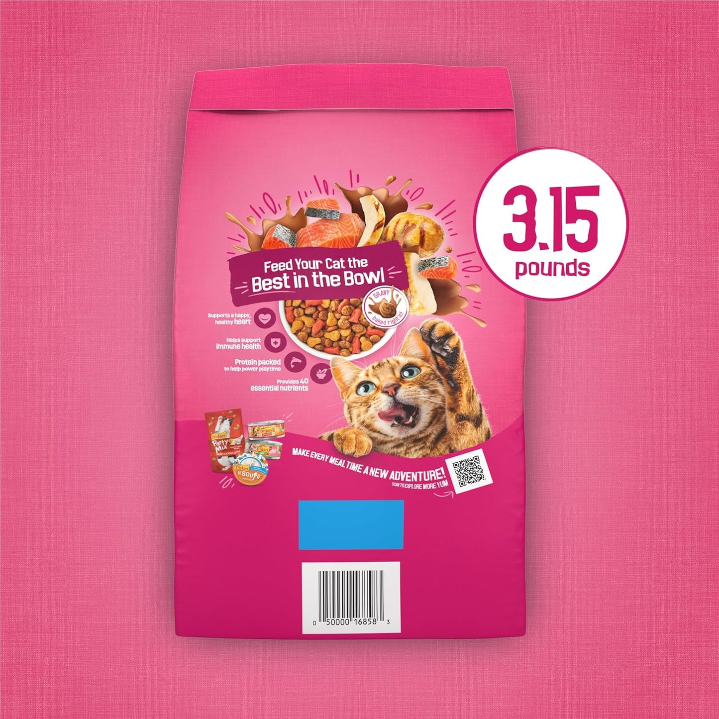 Purina Friskies Gravy Swirlers Dry Cat Food - Chicken & Salmon Flavor - 3.15 lb Bag