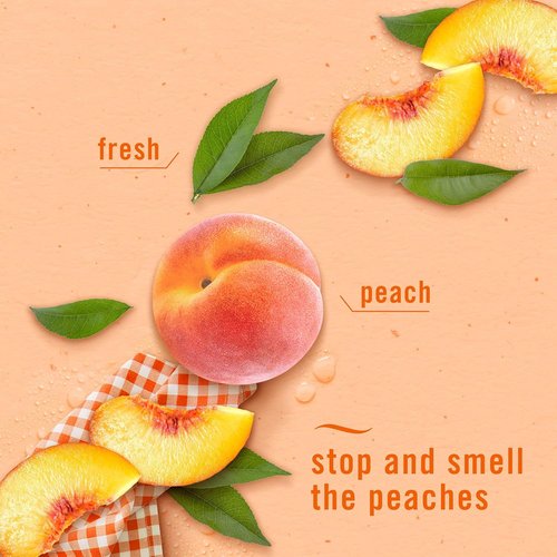 Febreze Bathroom Air Freshener - Odor-Fighting Plug-In Alternative | Lilac & Peach Scents, 4ct