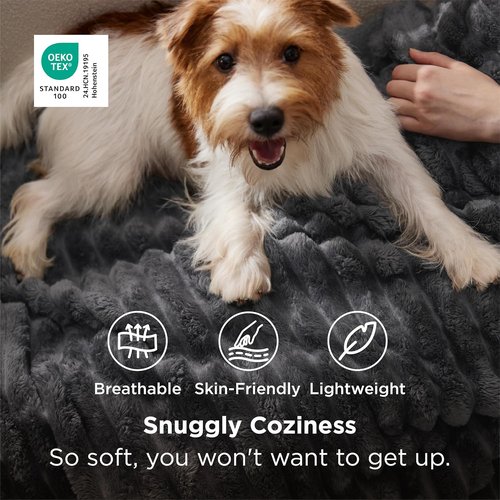 Bedsure Grey Fleece Throw Blanket - Super Soft Cozy Couch Blanket for Women | 50x60 Inches